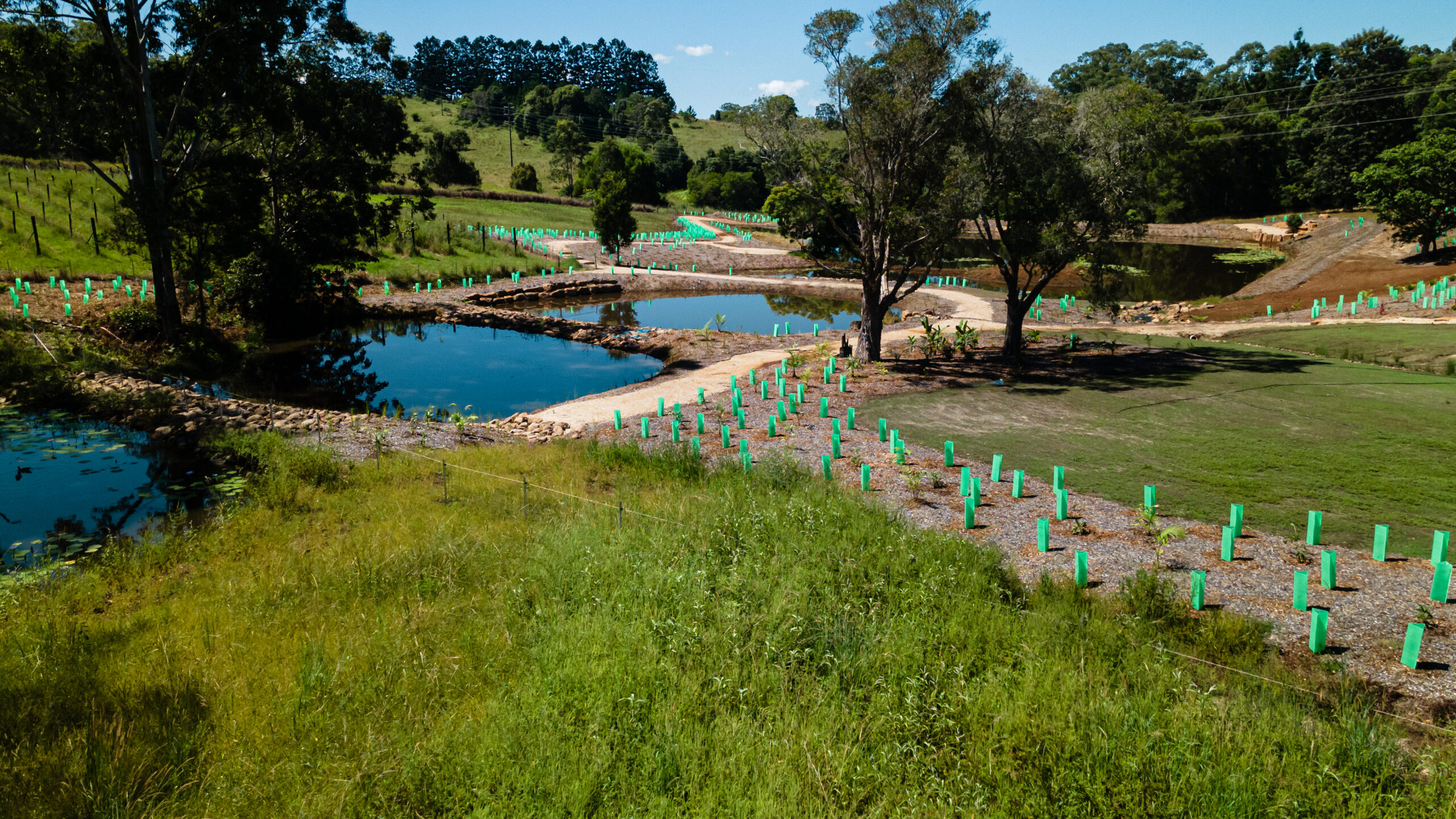 Landscaping Around Flood-Prone Land: What Northern Rivers Homeowners Need to Know